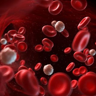 Poprawia krążenie krwi